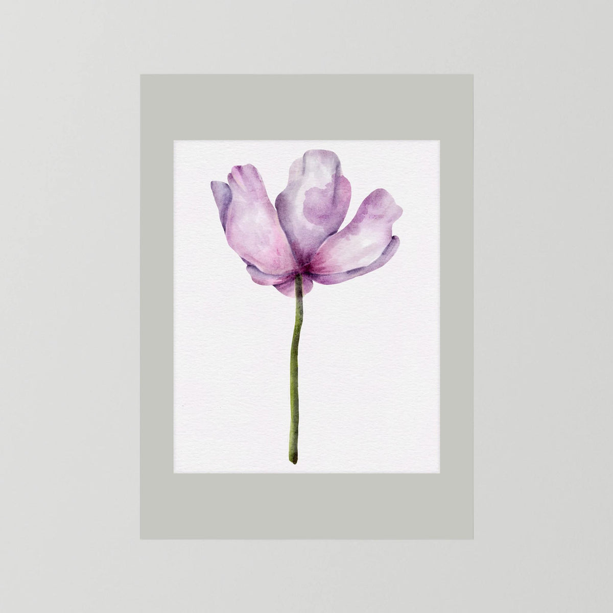 Watercolor Anemone 