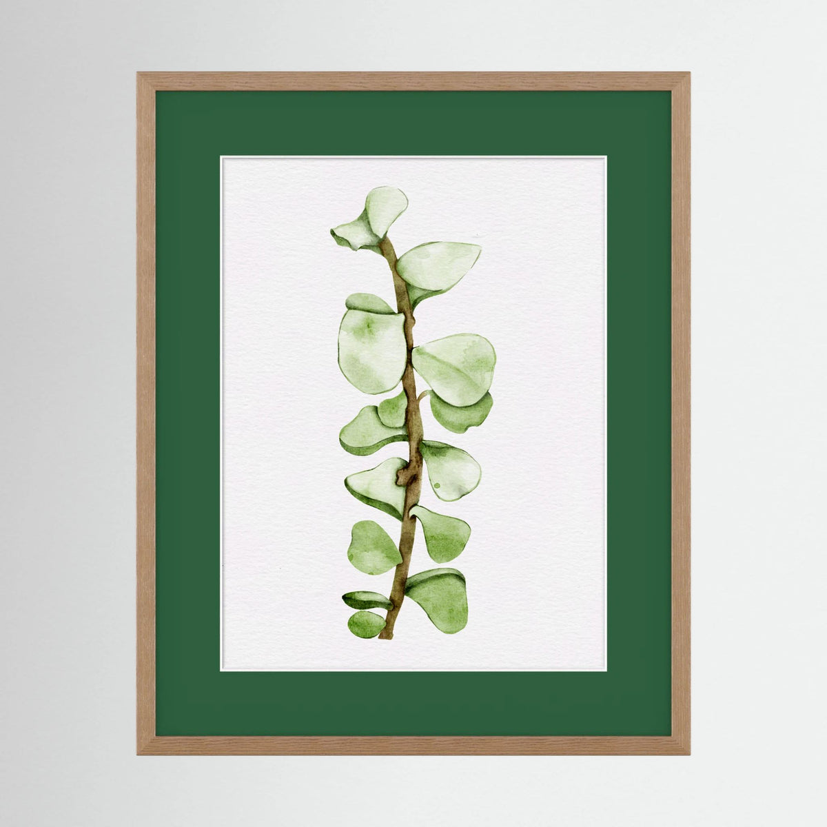 Watercolor Tall Succulent