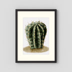 Watercolor Spiky Cactus