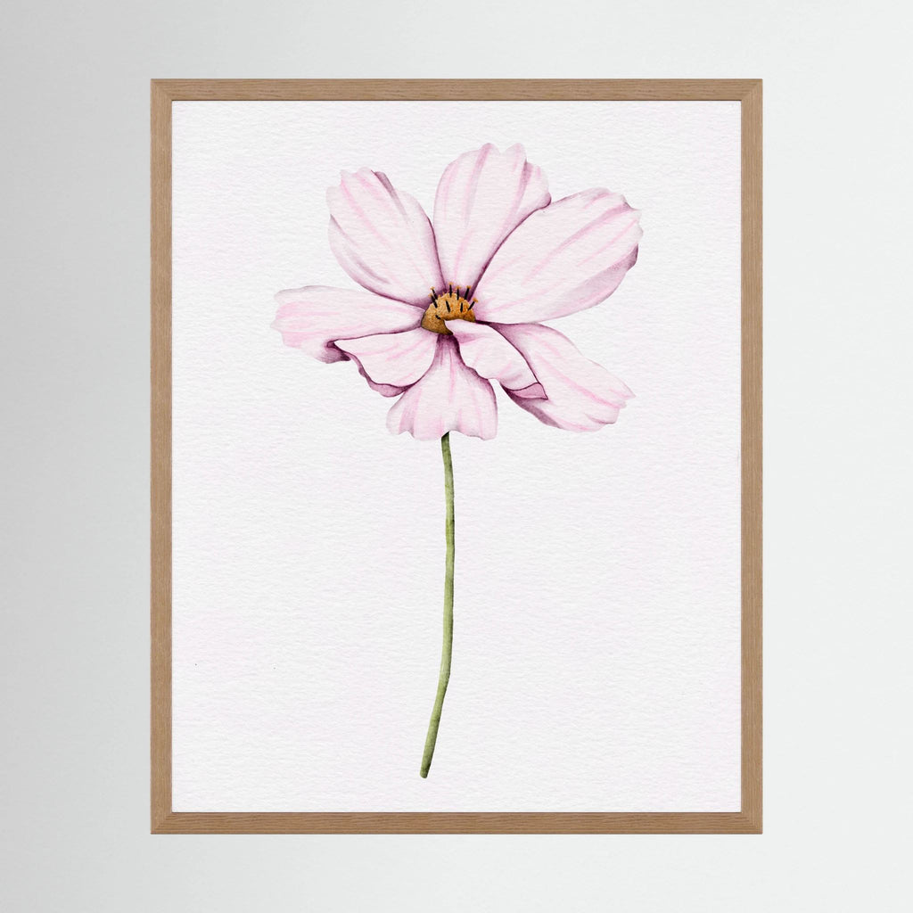 Watercolor Cosmos 