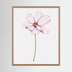 Watercolor Cosmos 