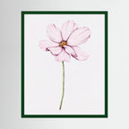 Watercolor Cosmos 