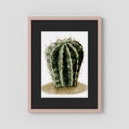 Watercolor Spiky Cactus