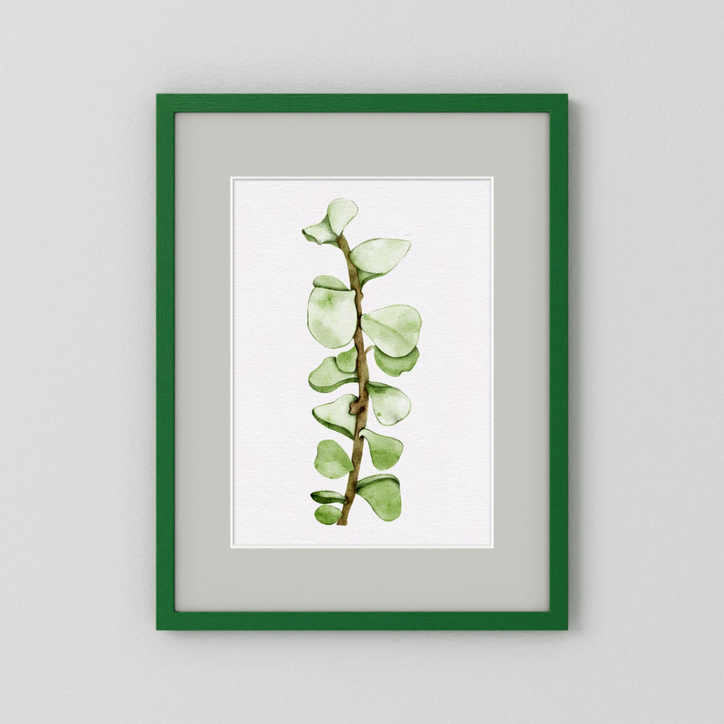 Watercolor Tall Succulent