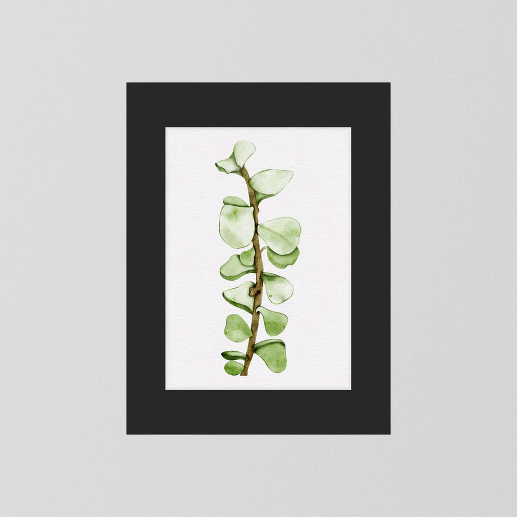 Watercolor Tall Succulent