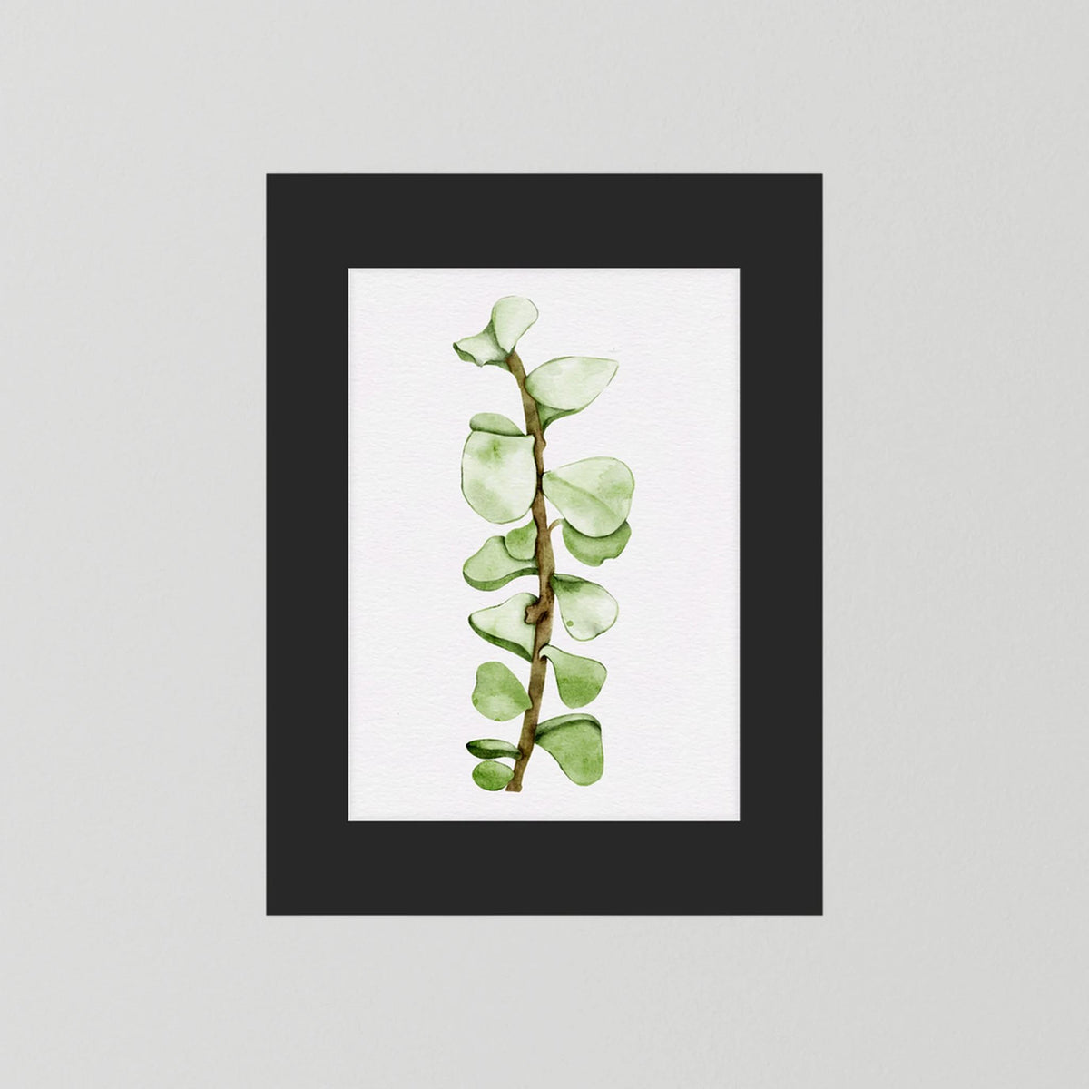 Watercolor Tall Succulent