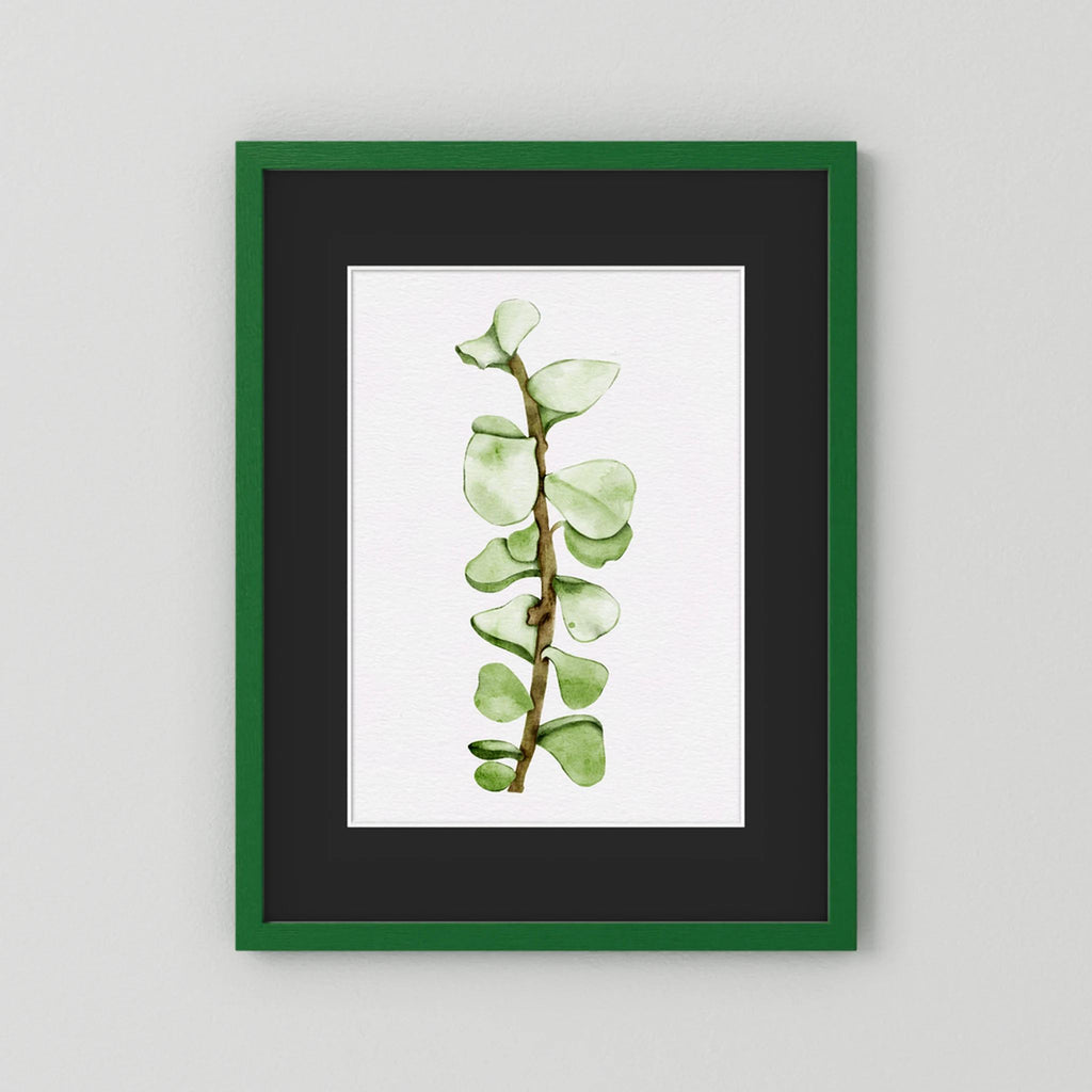 Watercolor Tall Succulent