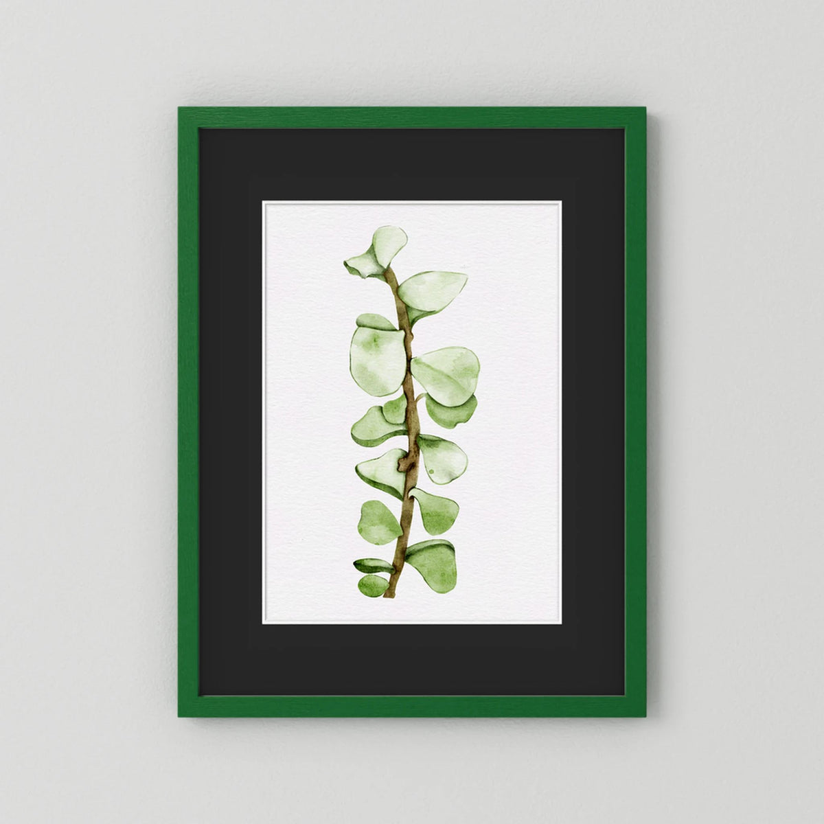 Watercolor Tall Succulent