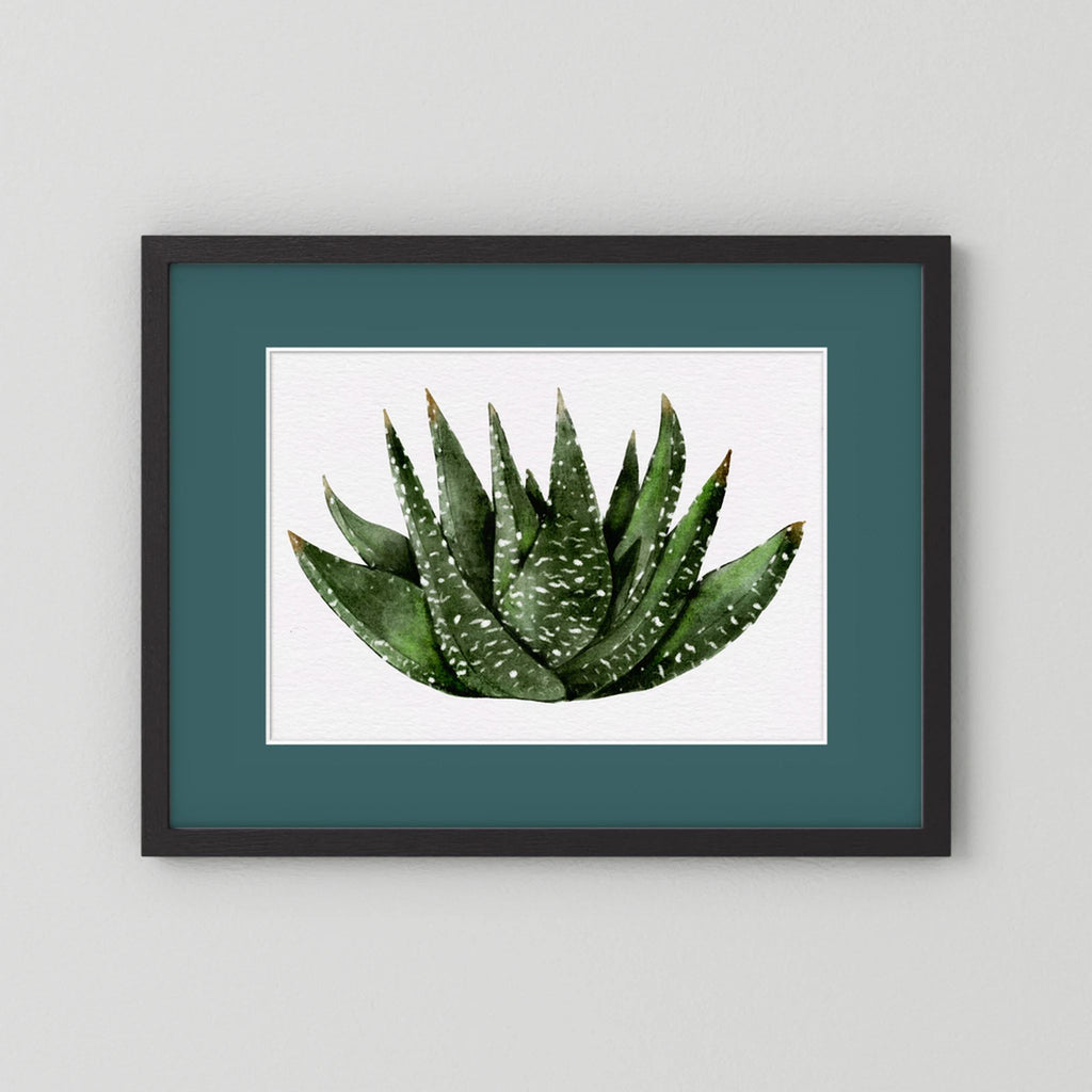 Watercolor Spiky Succulent