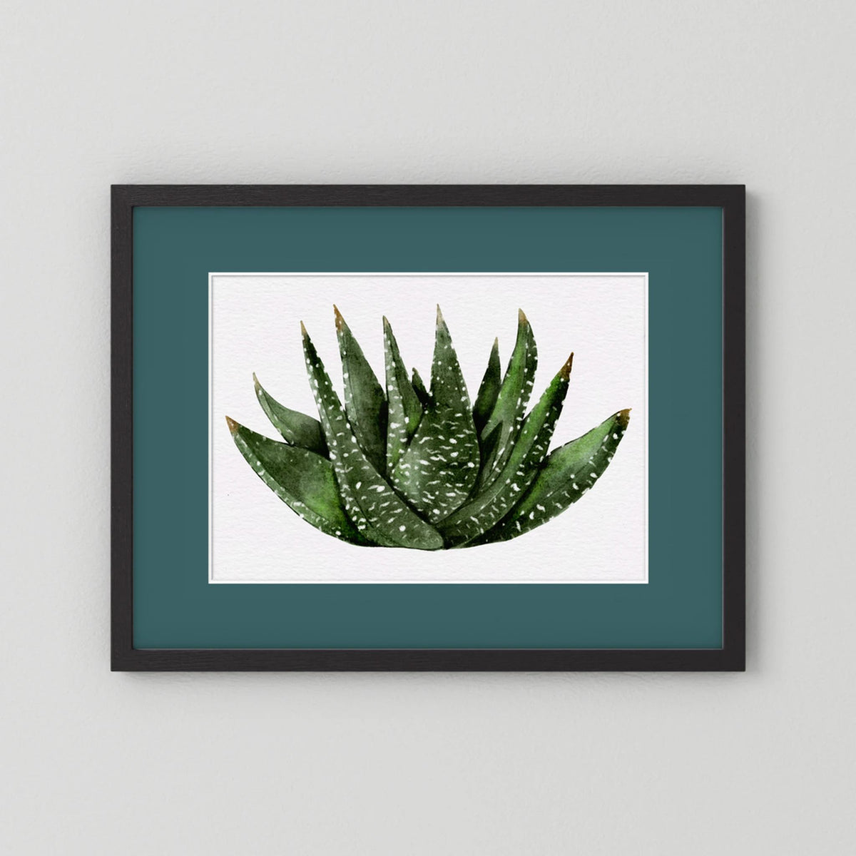 Watercolor Spiky Succulent