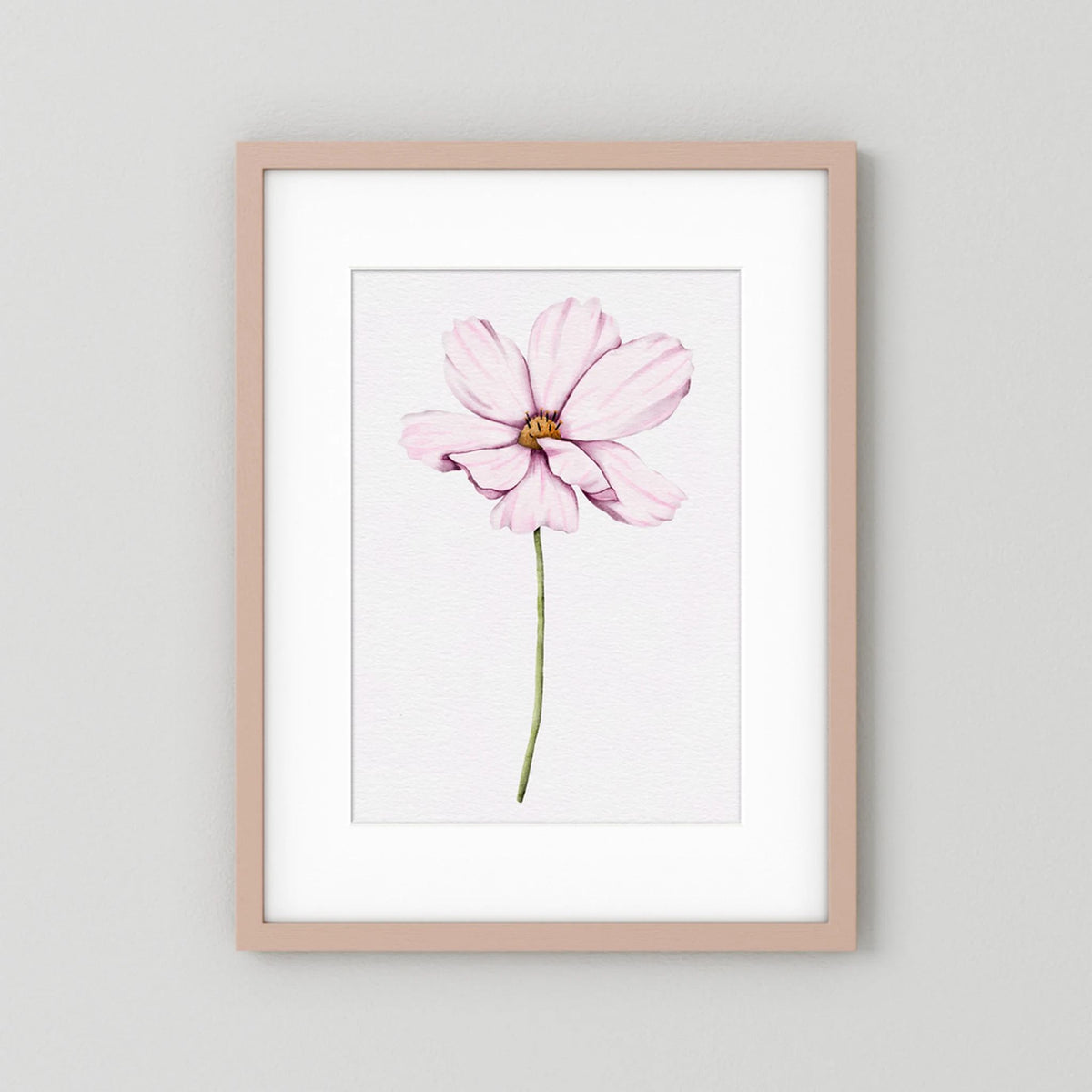 Watercolor Cosmos 