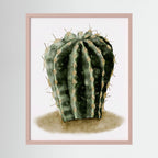 Watercolor Spiky Cactus