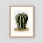 Watercolor Spiky Cactus
