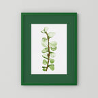 Watercolor Tall Succulent