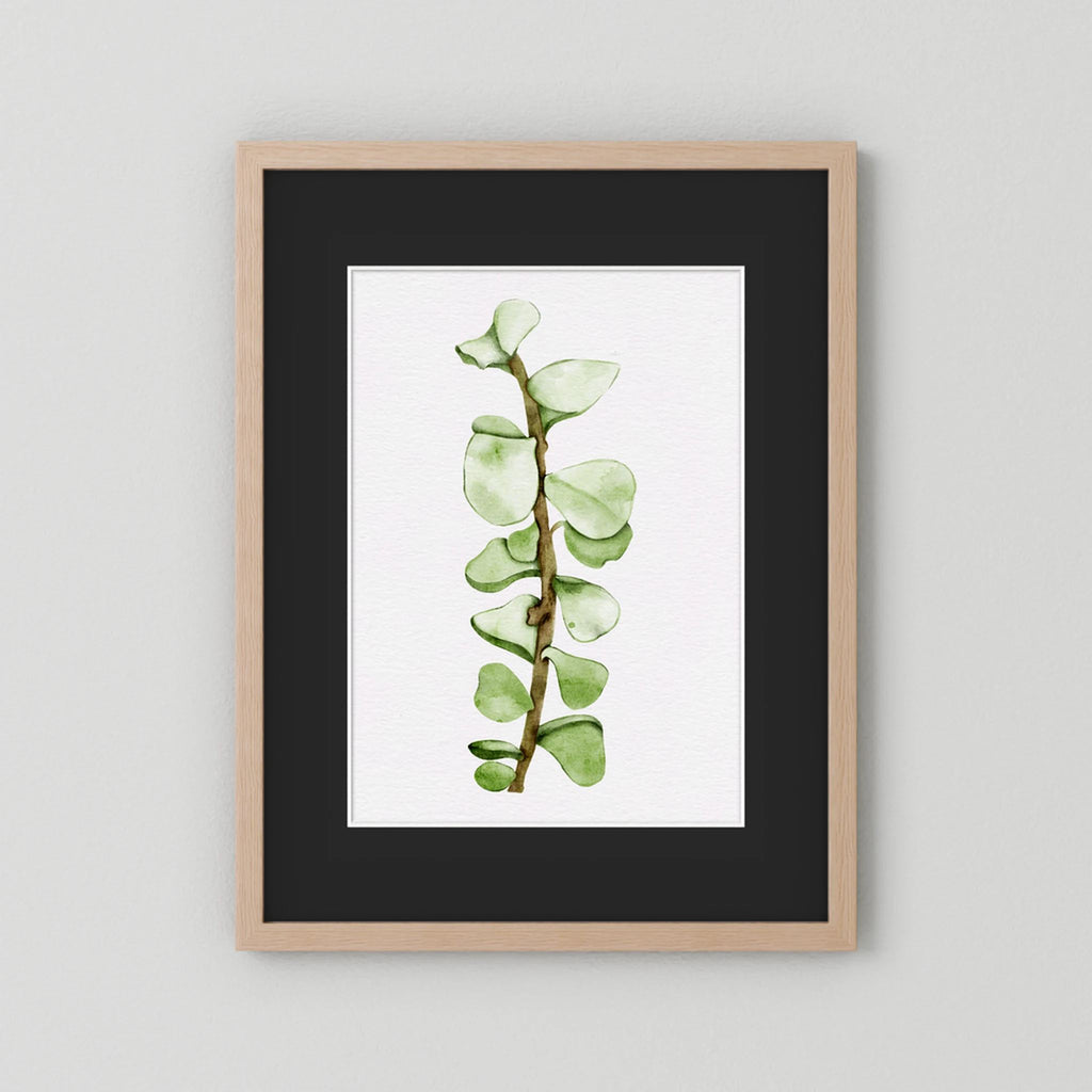 Watercolor Tall Succulent