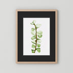Watercolor Tall Succulent