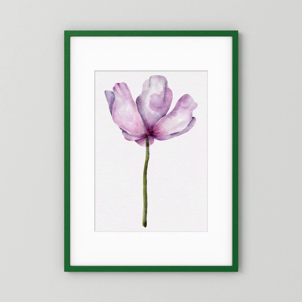 Watercolor Anemone 