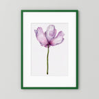 Watercolor Anemone 
