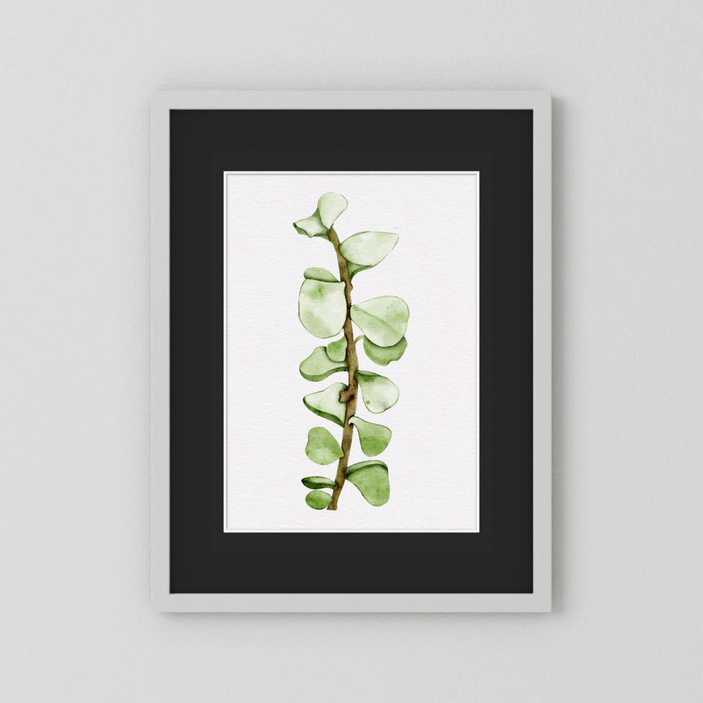 Watercolor Tall Succulent