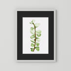 Watercolor Tall Succulent