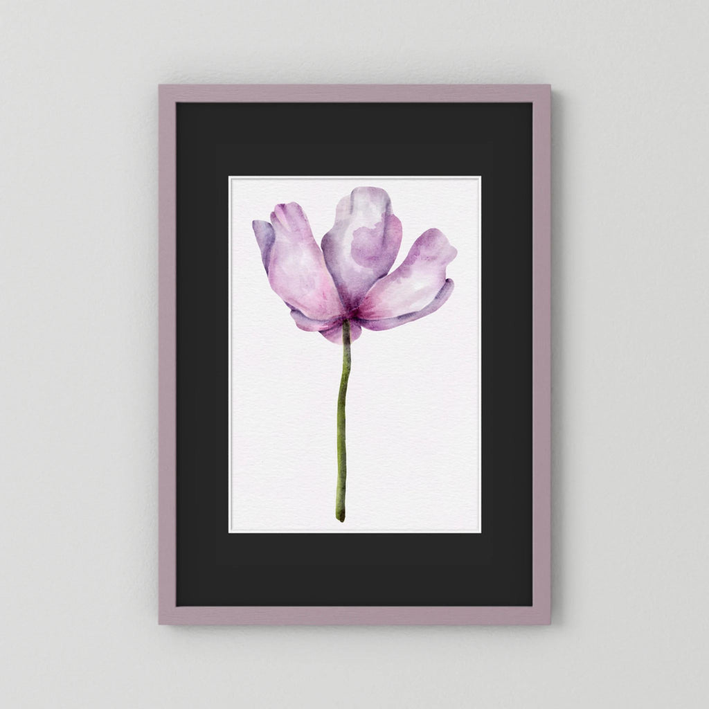 Watercolor Anemone 