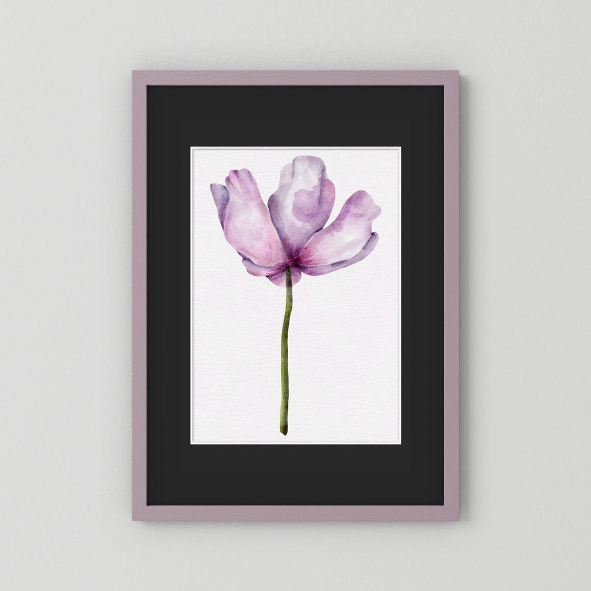 Watercolor Anemone 