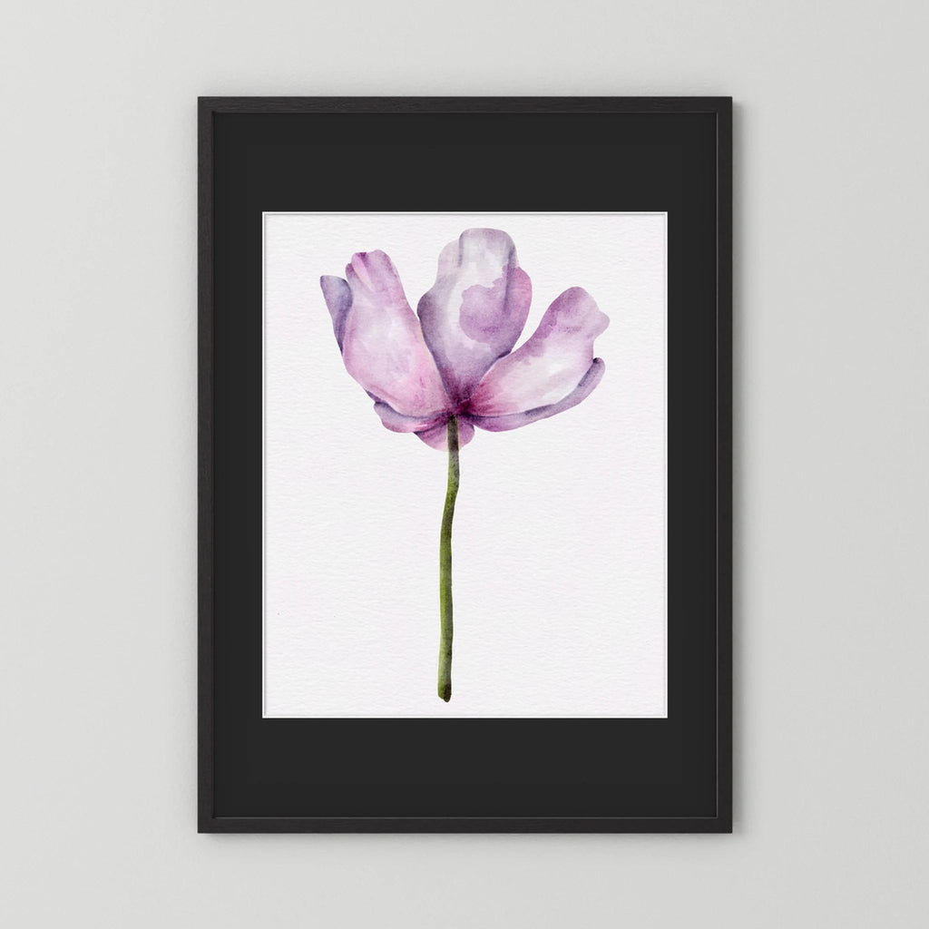 Watercolor Anemone 