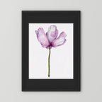 Watercolor Anemone 