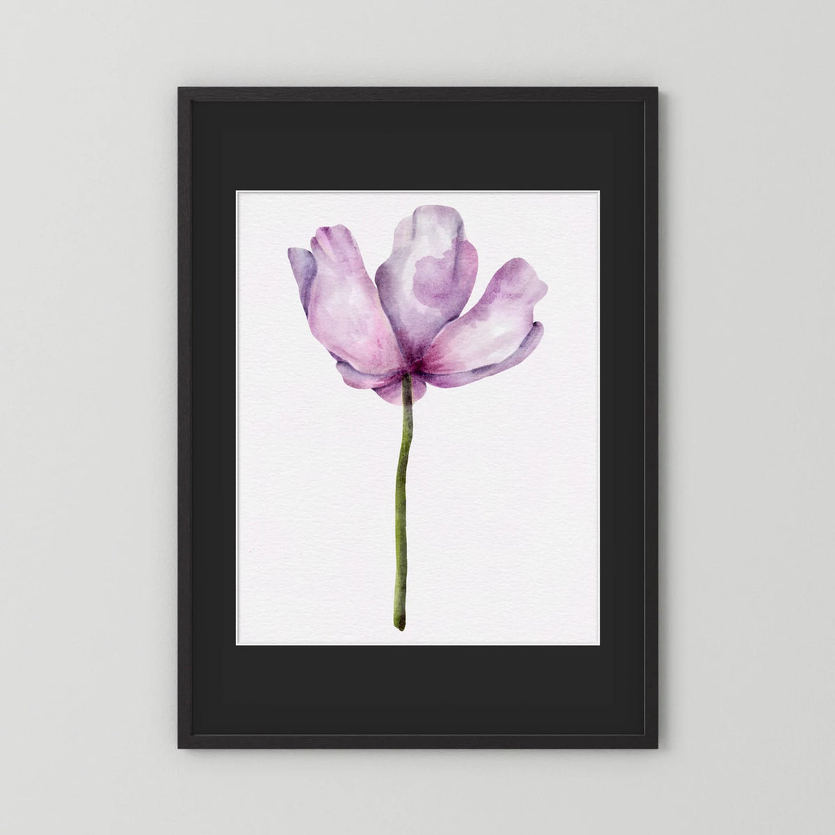 Watercolor Anemone 