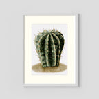 Watercolor Spiky Cactus
