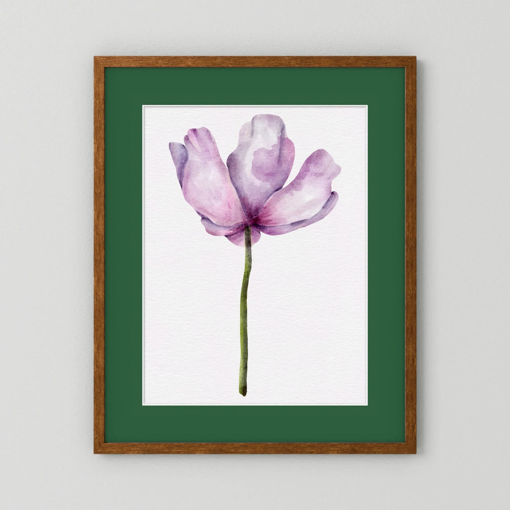 Watercolor Anemone 