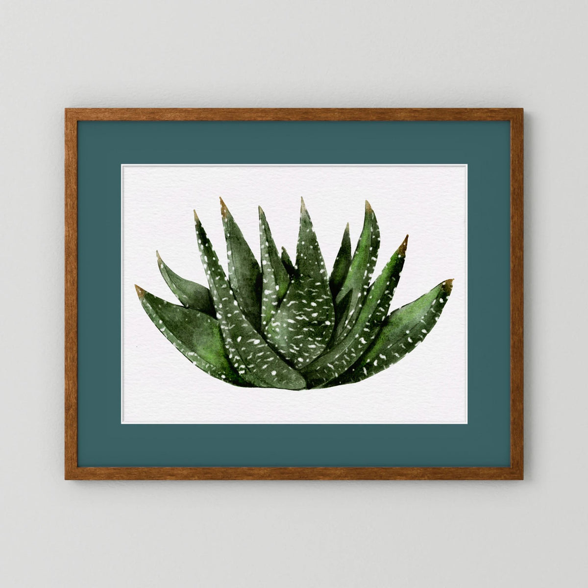 Watercolor Spiky Succulent