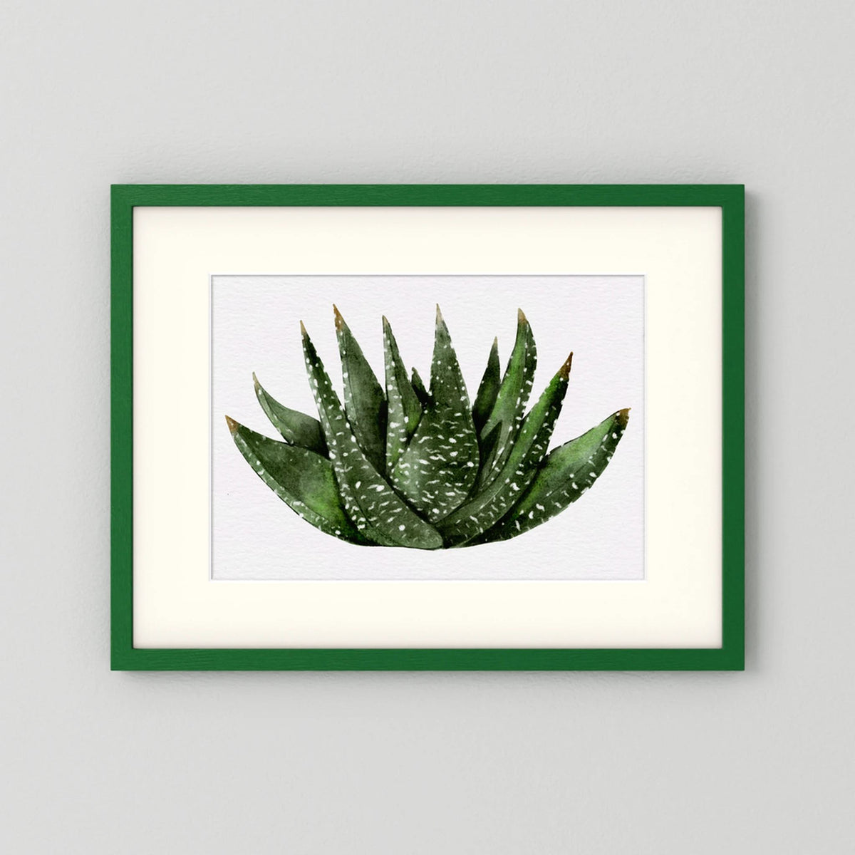 Watercolor Spiky Succulent