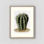 Watercolor Spiky Cactus