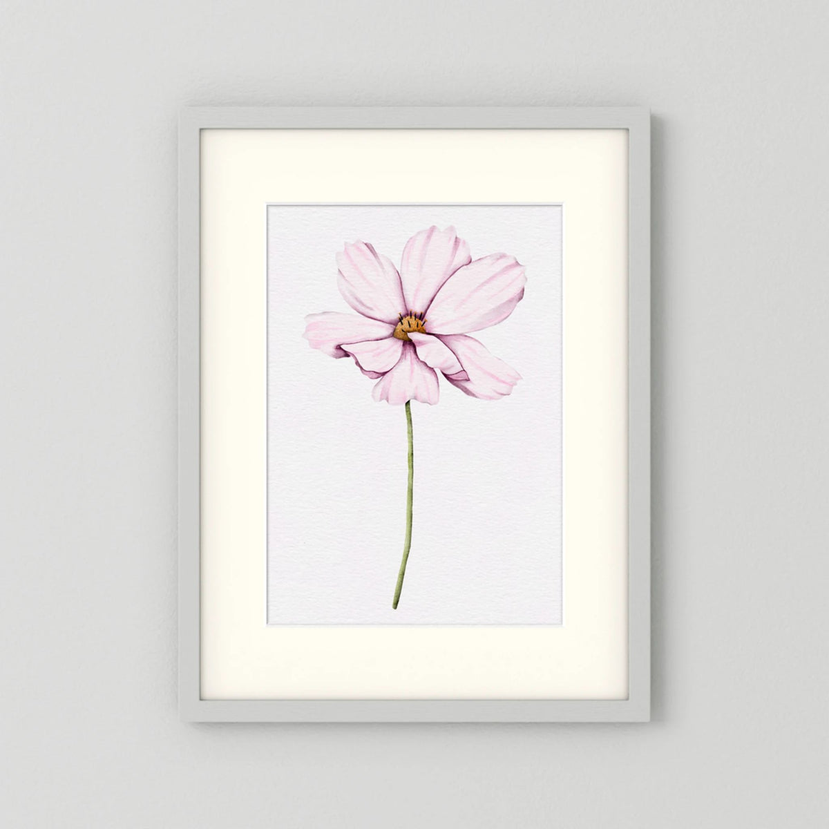 Watercolor Cosmos 