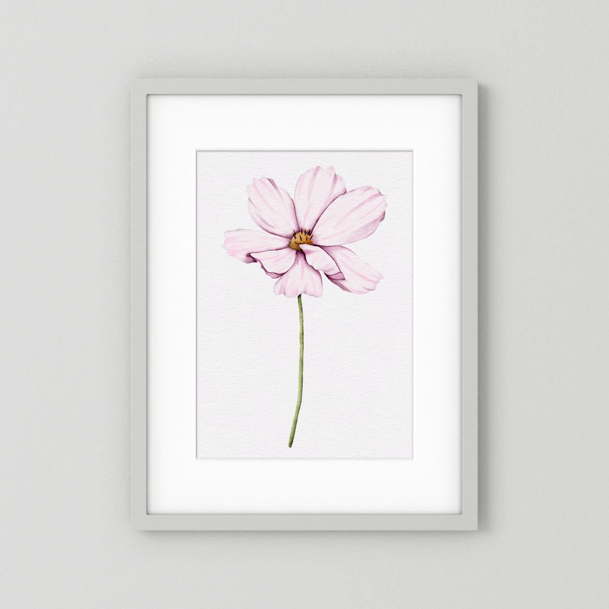 Watercolor Cosmos 