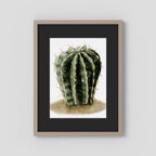 Watercolor Spiky Cactus