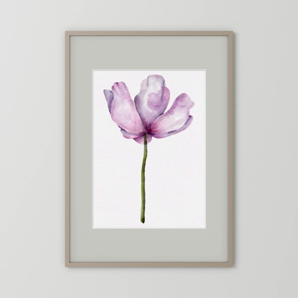 Watercolor Anemone 