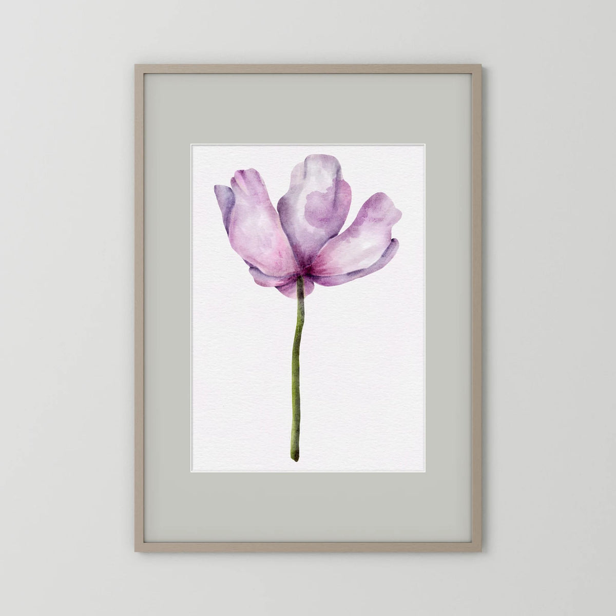 Watercolor Anemone 
