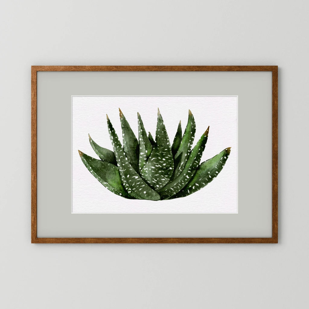 Watercolor Spiky Succulent