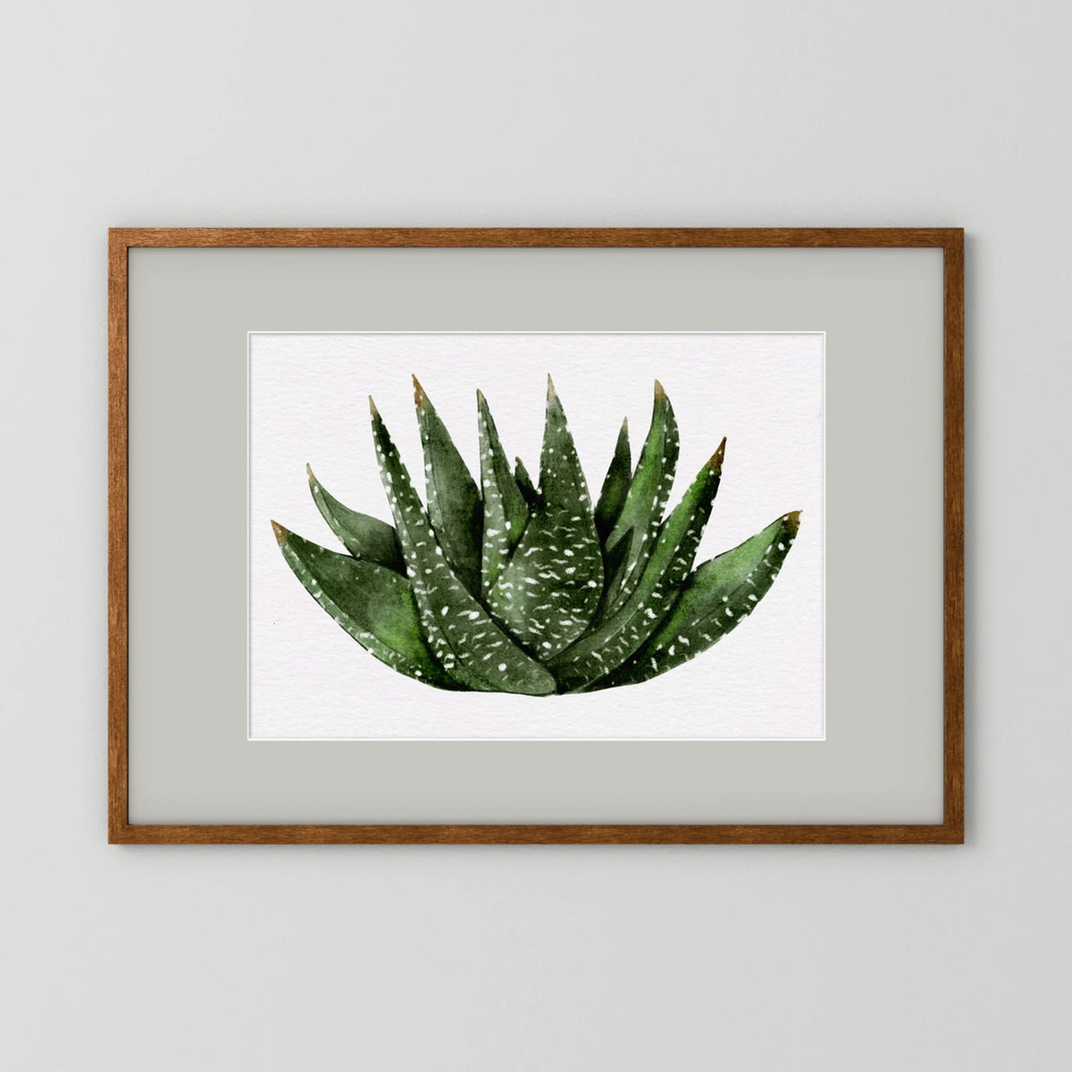 Watercolor Spiky Succulent