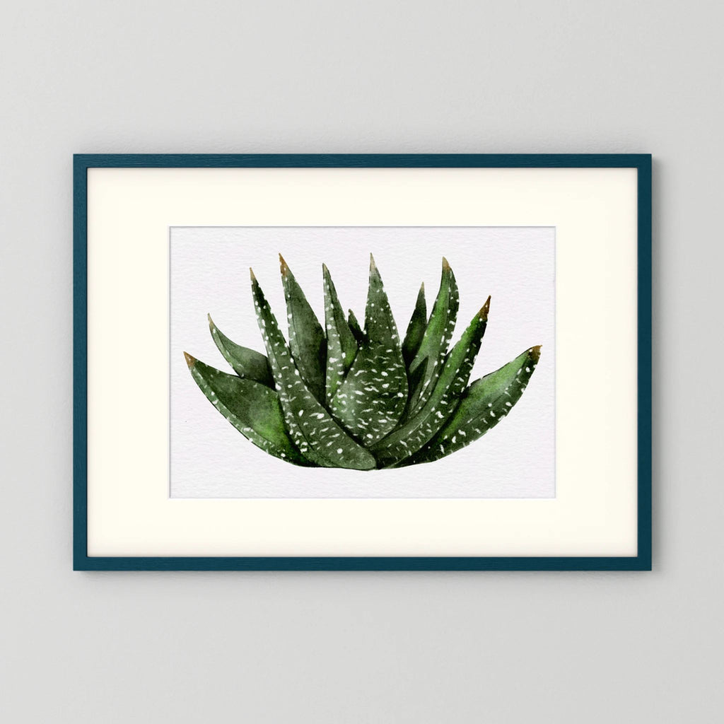 Watercolor Spiky Succulent