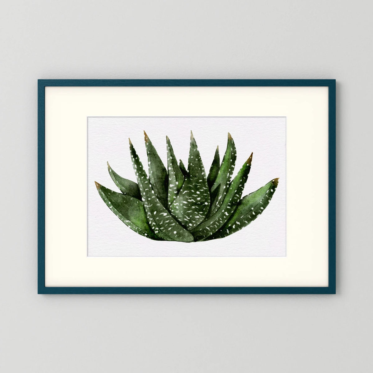 Watercolor Spiky Succulent