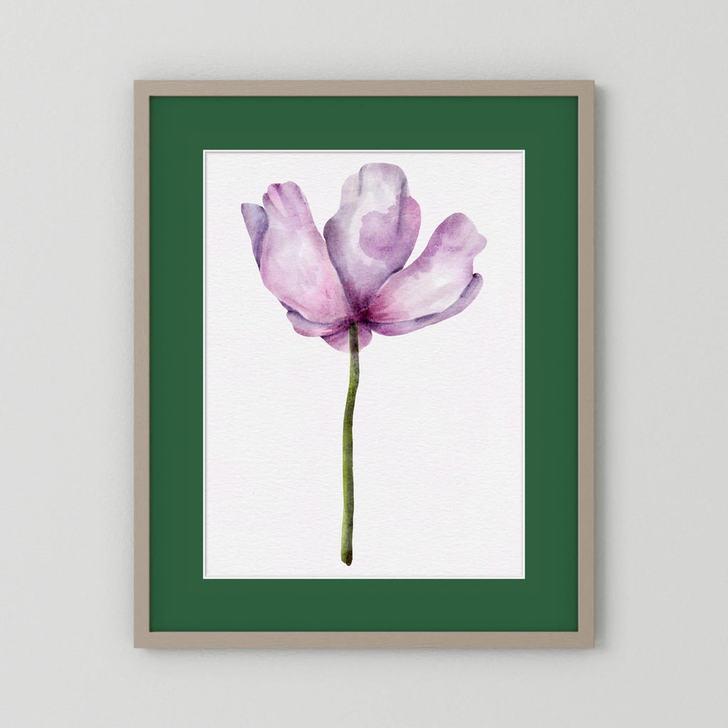 Watercolor Anemone 