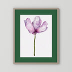 Watercolor Anemone 
