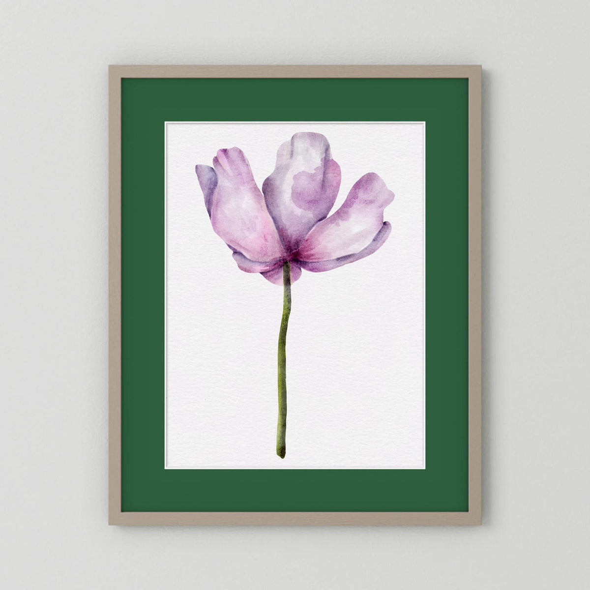 Watercolor Anemone 