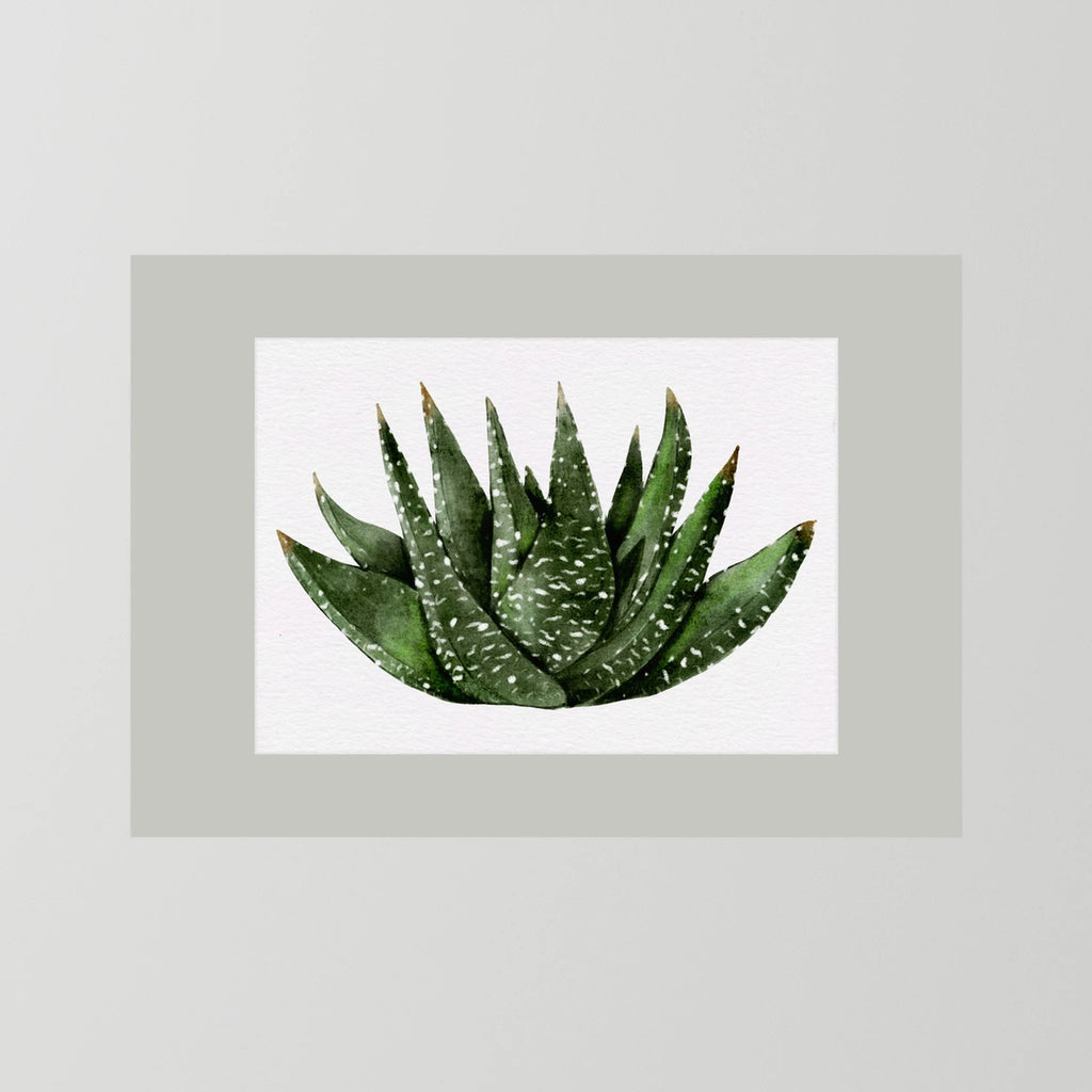 Watercolor Spiky Succulent