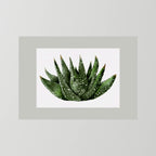 Watercolor Spiky Succulent