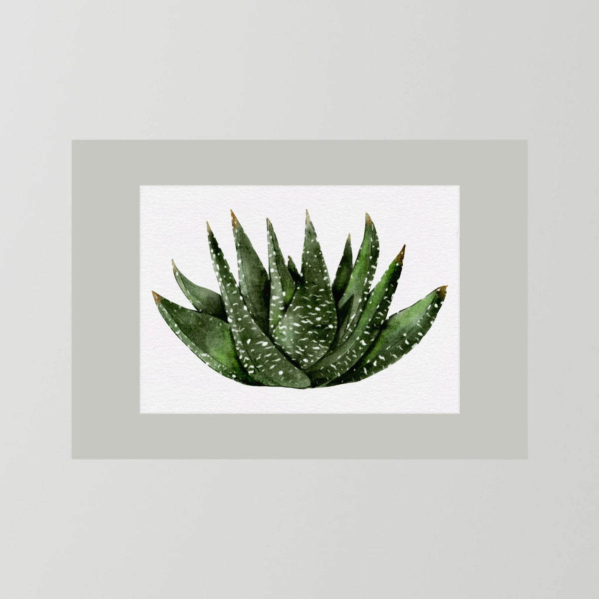Watercolor Spiky Succulent
