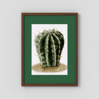 Watercolor Spiky Cactus